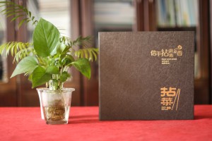 五星級(jí)酒店特色餐廳制作高檔菜單實(shí)拍圖片-給菜譜設(shè)計(jì)廠家跪了!