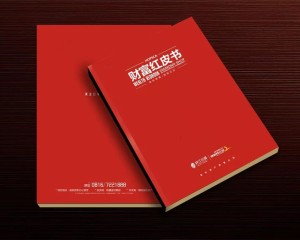 真正高端的房地產(chǎn)企業(yè)宣傳畫冊設計 擺脫創(chuàng)意文案 廣告照樣牛逼！