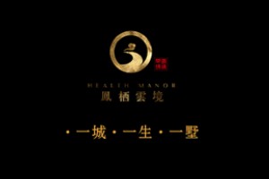 別墅宣傳冊(cè)設(shè)計(jì)方案-中國(guó)風(fēng)房地產(chǎn)樓盤畫冊(cè)設(shè)計(jì)怎么做