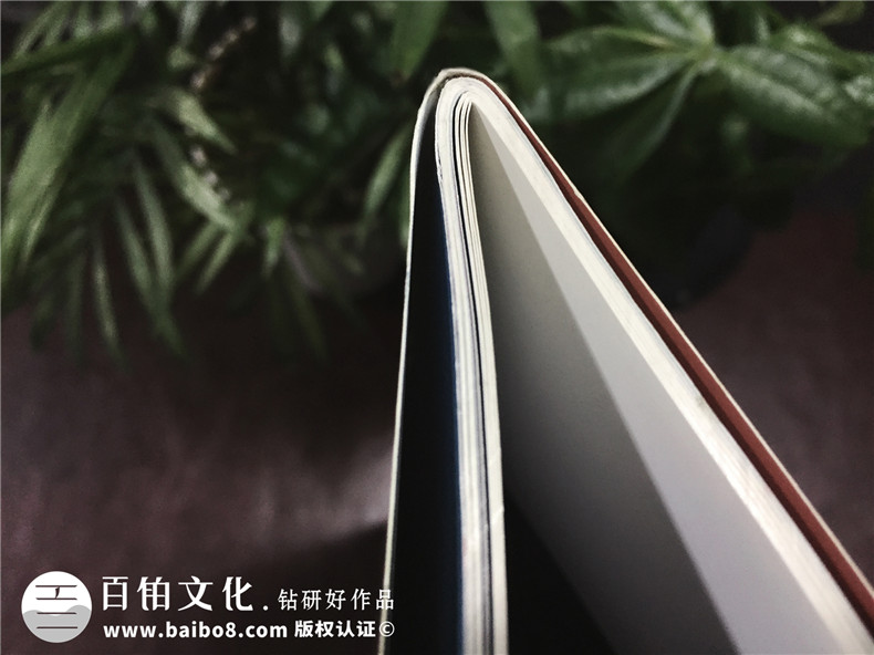 成都登特義齒-企業(yè)期刊畫(huà)冊(cè)設(shè)計(jì)-雜志制作