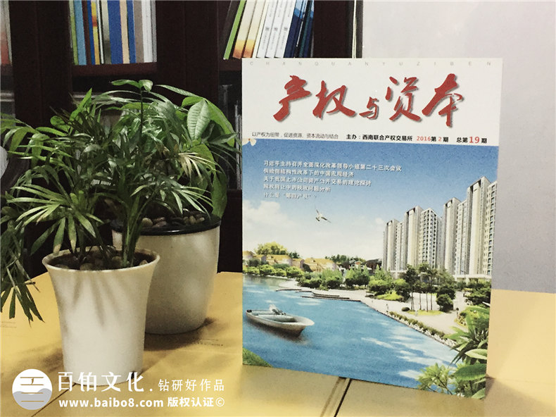 《產(chǎn)權(quán)與資本》西南聯(lián)交所企業(yè)內(nèi)刊雜志制作