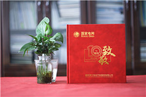 企業(yè)十周年慶典圖畫冊(cè)-國家電網(wǎng)公司成立10周年贈(zèng)送成長紀(jì)念冊(cè)