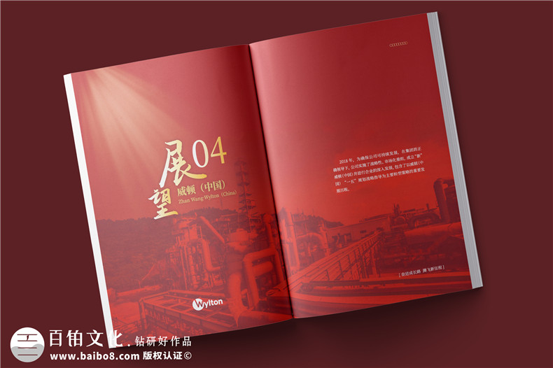 化工企業(yè)20周年紀(jì)念冊(cè)設(shè)計(jì)-公司整合發(fā)展大事記畫冊(cè)