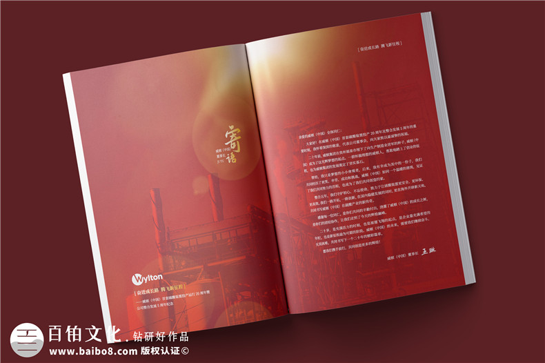 化工企業(yè)20周年紀(jì)念冊(cè)設(shè)計(jì)-公司整合發(fā)展大事記畫冊(cè)