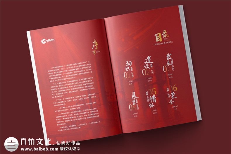 化工企業(yè)20周年紀(jì)念冊(cè)設(shè)計(jì)-公司整合發(fā)展大事記畫冊(cè)