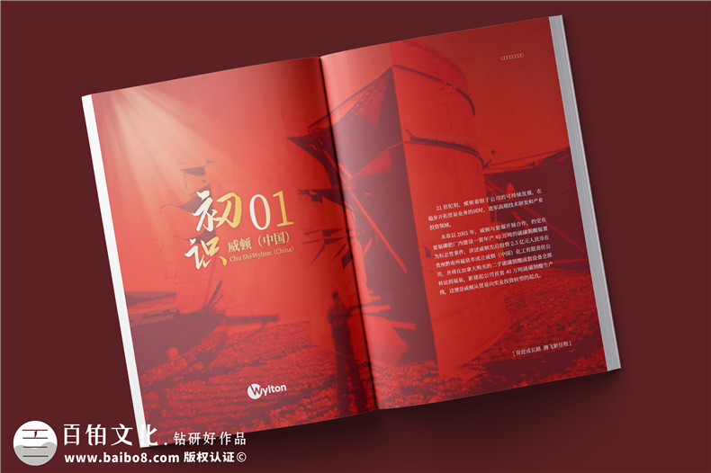 化工企業(yè)20周年紀(jì)念冊(cè)設(shè)計(jì)-公司整合發(fā)展大事記畫冊(cè)