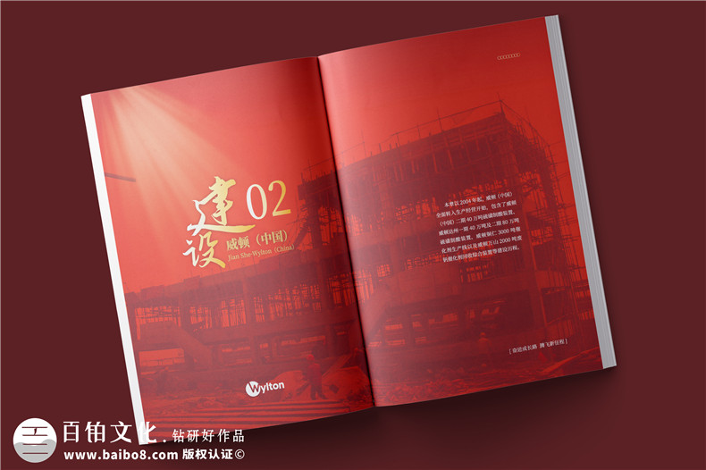 化工企業(yè)20周年紀(jì)念冊(cè)設(shè)計(jì)-公司整合發(fā)展大事記畫冊(cè)