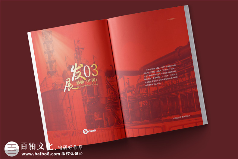 化工企業(yè)20周年紀(jì)念冊(cè)設(shè)計(jì)-公司整合發(fā)展大事記畫冊(cè)