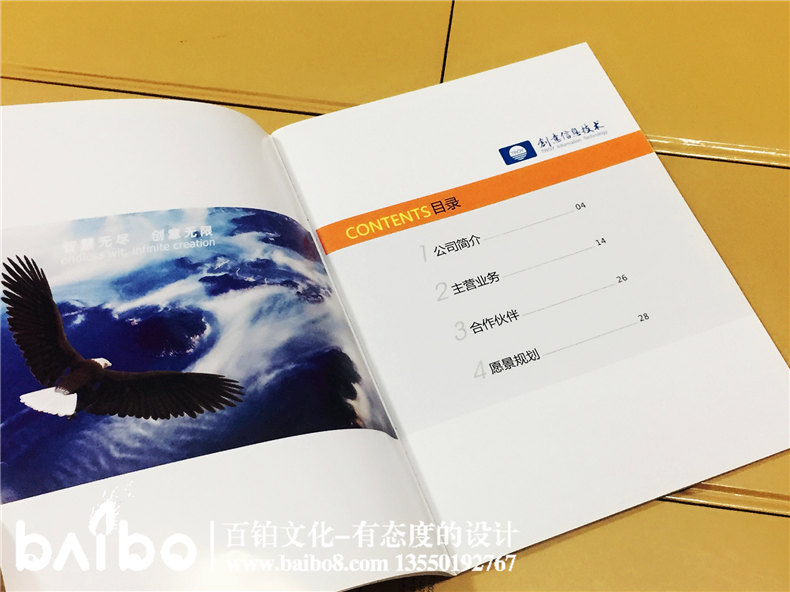 高新信息技術企業(yè)宣傳畫冊設計制作-公司畫冊印刷