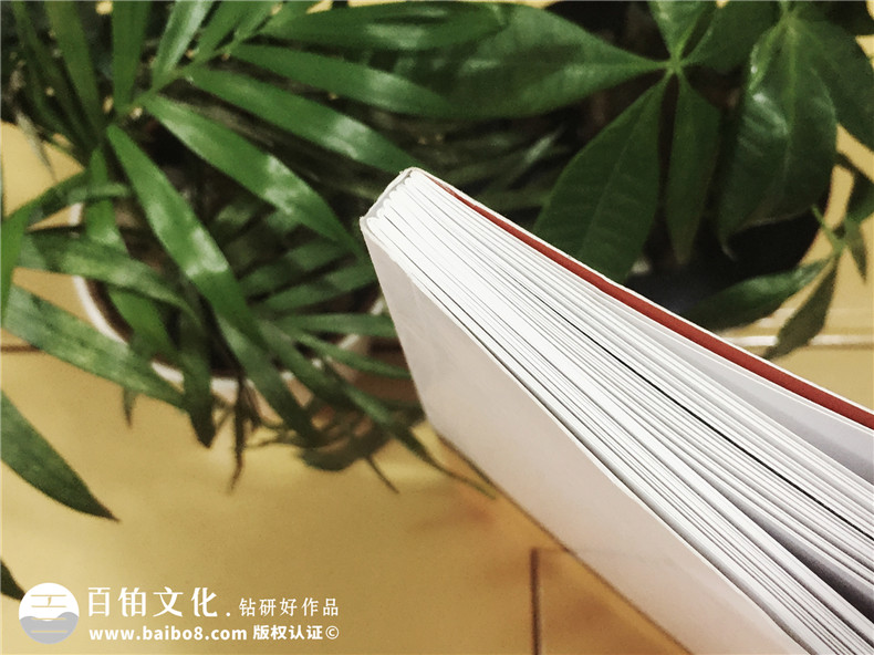 陶格個性定制藝術(shù)背景墻-產(chǎn)品宣傳畫冊設計