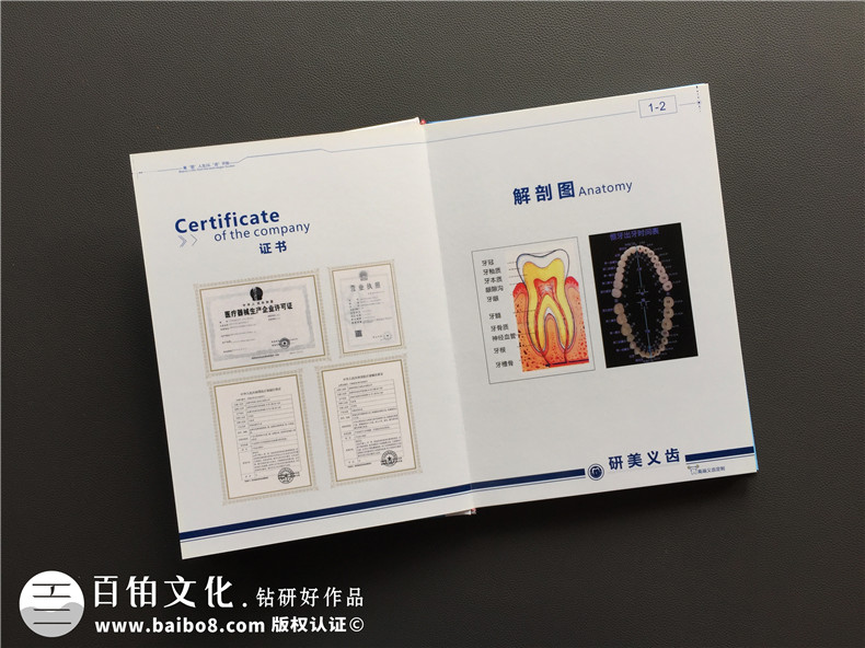 加工生產義齒的廠家宣傳手冊定制-企業(yè)畫冊設計