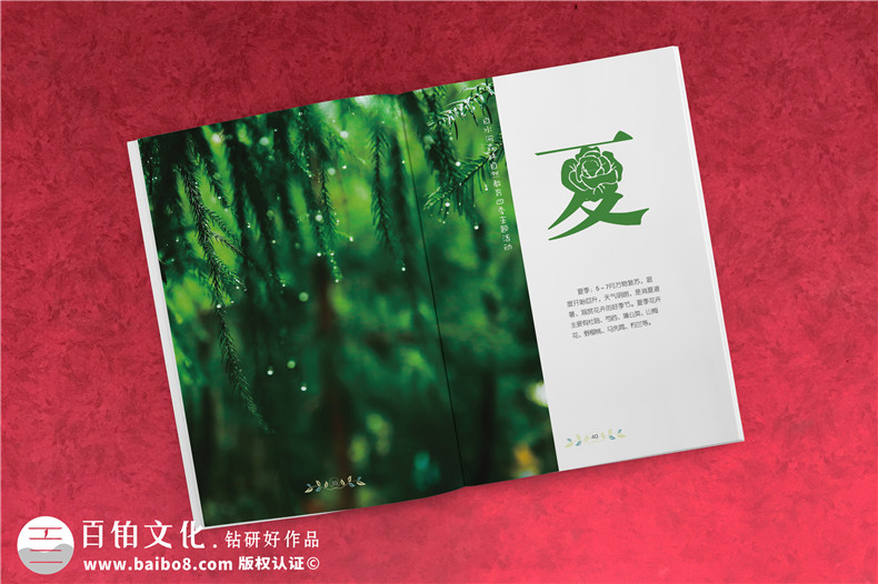 景區(qū)宣傳畫(huà)冊(cè)內(nèi)頁(yè)版式設(shè)計(jì)-旅游景點(diǎn)森林自然資源教育手冊(cè)怎么做?