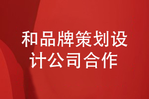 企業(yè)品牌策劃和設計-和專業(yè)的品牌設計公司建立合作關系